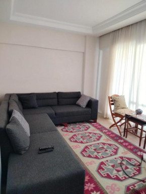 Nehir home